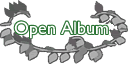Open the Album